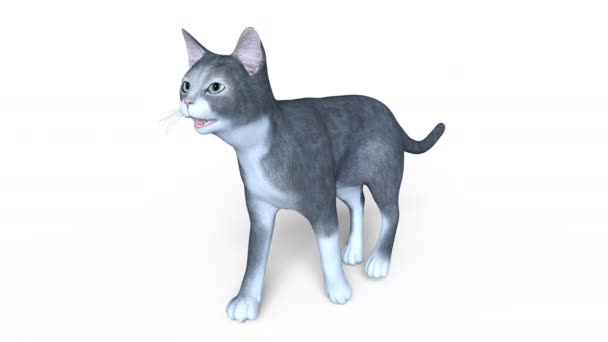 3D rendu 3D d'un chat marchant — Video