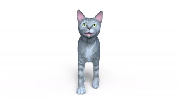 3D-cg-Darstellung einer wandelnden Katze — Stockvideo