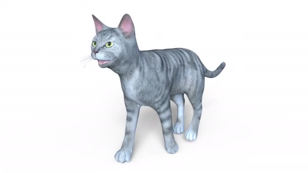 3D CG representación de un gato caminando — Vídeo de stock