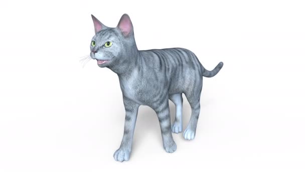 3D rendu 3D d'un chat marchant 