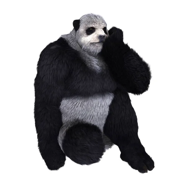 3D vykreslování cg panda člověka — Stock fotografie