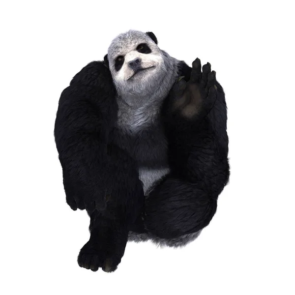 Rendering 3D CG di un uomo panda — Foto Stock