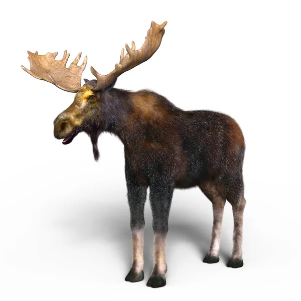 3D-cg rendering van een eland — Stockfoto