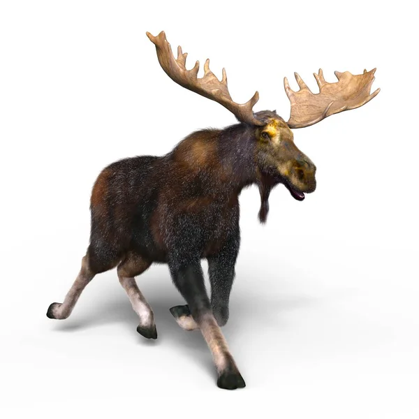 3D-cg rendering van een eland — Stockfoto