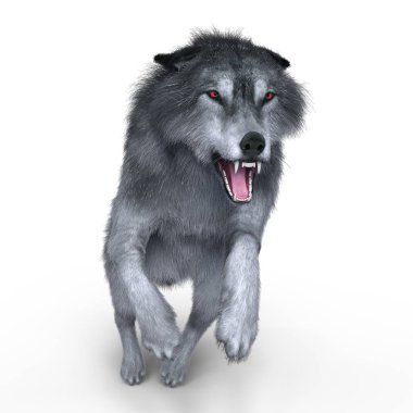 3d cg işleme bir kurt