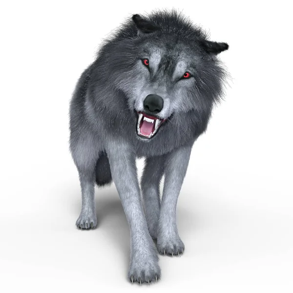 3D CG renderização de um lobo — Fotografia de Stock