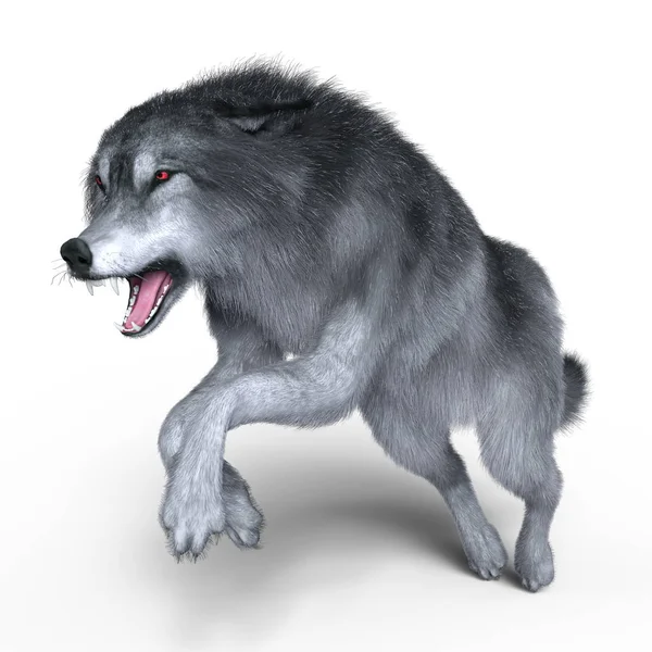 3D CG representación de un lobo — Foto de Stock
