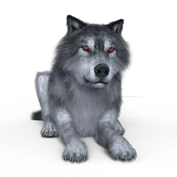 3D CG representación de un lobo — Foto de Stock