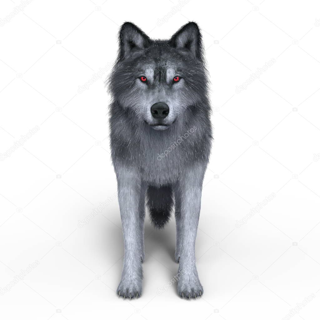 3D CG rendering of a wolf