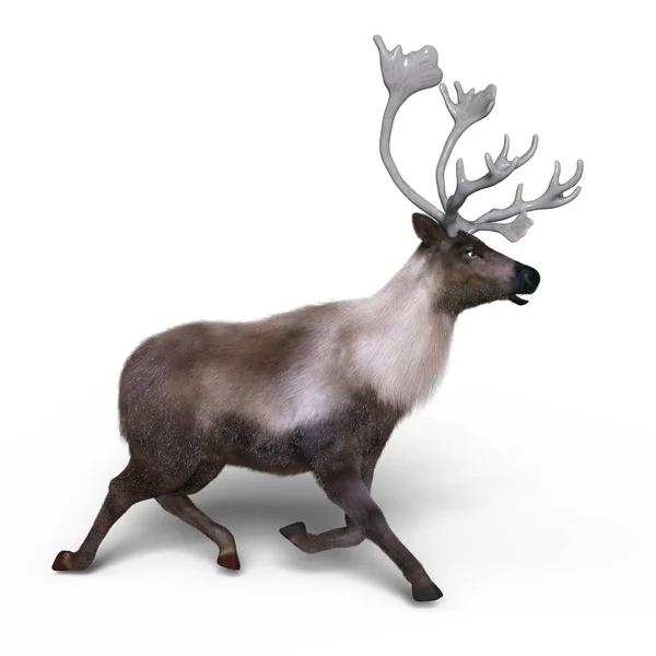 3D CG rendering of a reindeer — Stock Photo, Image