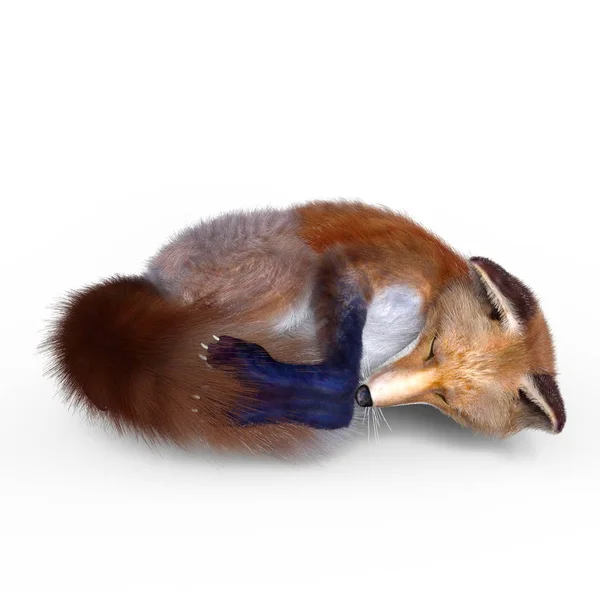 Renderowania 3D cg Fox — Zdjęcie stockowe