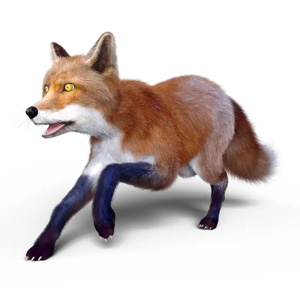 一只狐狸 3d cg 渲染 — 图库照片