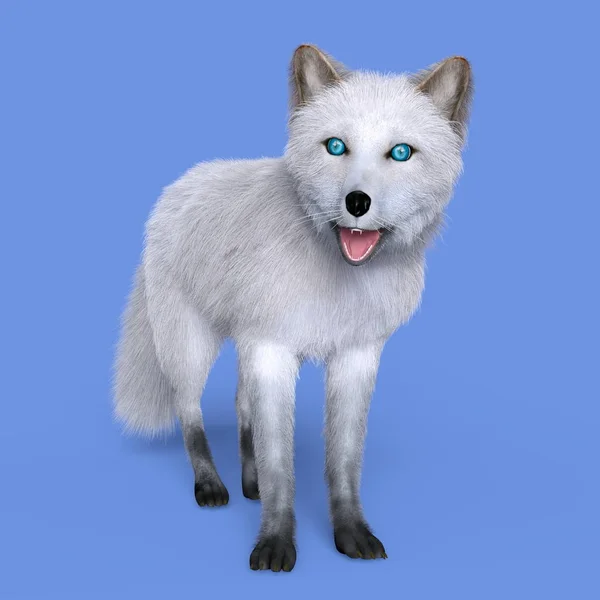 3D CG rendering of a silver fox — Stock Photo, Image