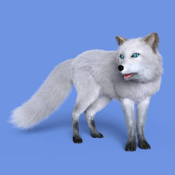 3D CG renderização de uma raposa de prata — Fotografia de Stock
