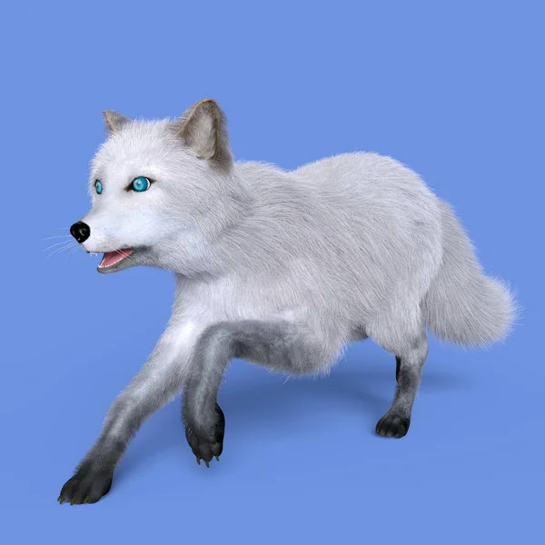 3D CG representación de un zorro plateado — Foto de Stock