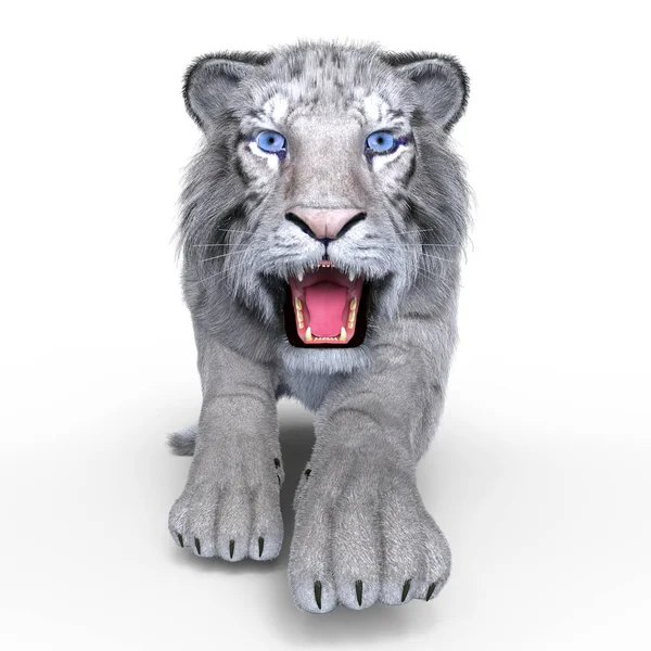 Rendering 3D CG di una tigre bianca — Foto Stock