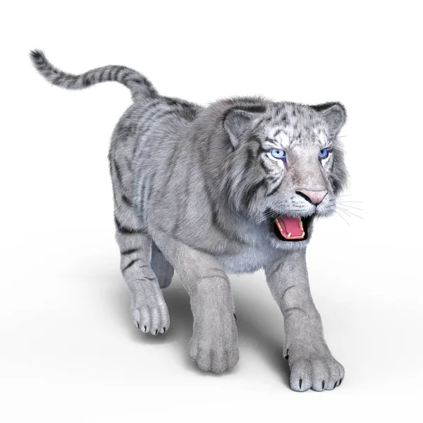 3D cg rendering.of μια άσπρη τίγρη — Φωτογραφία Αρχείου