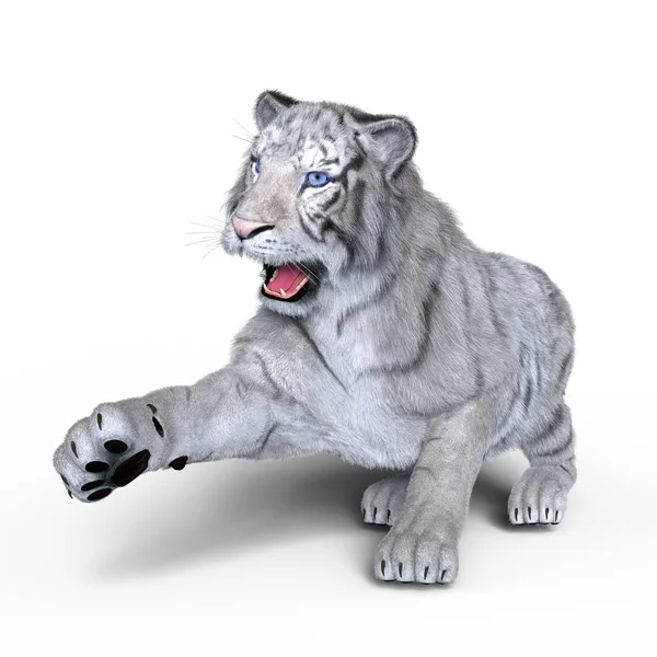 3D CG rendering.of um tigre branco — Fotografia de Stock