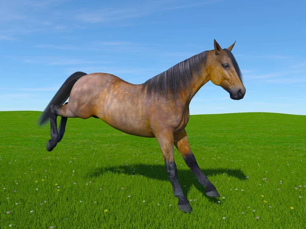 3D rendu 3D d'un cheval — Photo