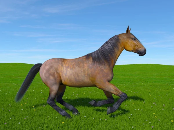 3D CG rendering of a horse — Stock Photo, Image