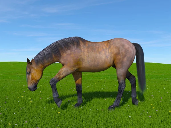 3D CG renderização de um cavalo — Fotografia de Stock