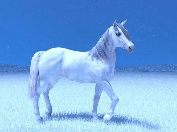 Renderowania 3D cg białego konia — Zdjęcie stockowe