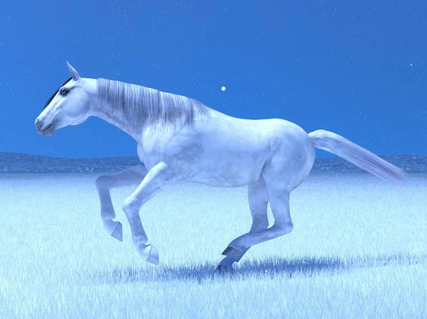 3D cg Darstellung eines weißen Pferdes — Stockfoto