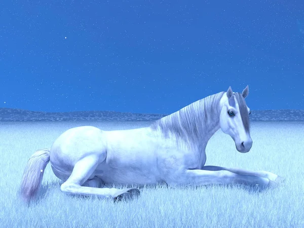 3D cg Darstellung eines weißen Pferdes — Stockfoto