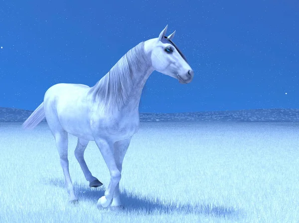3D CG rendering of a white horse — Stock Photo, Image