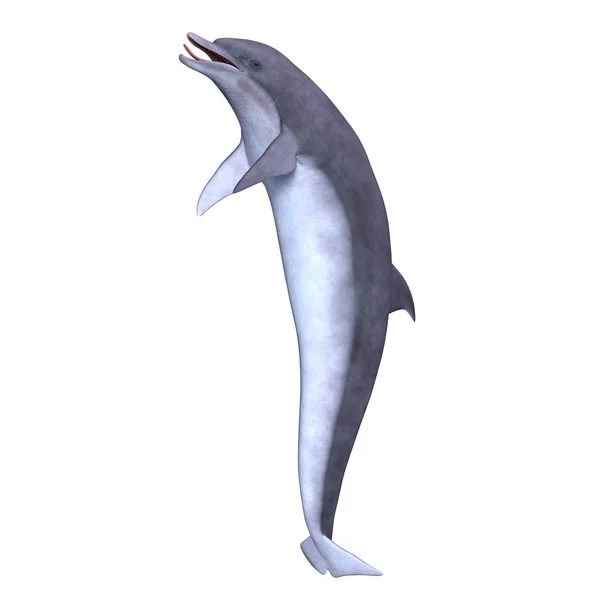 3D rendu 3D d'un dauphin — Photo