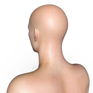 adam baş 3d cg işleme