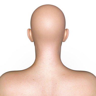 adam baş 3d cg işleme