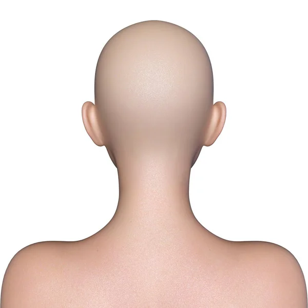 Renderowania 3D cg głowy kobiety — Zdjęcie stockowe