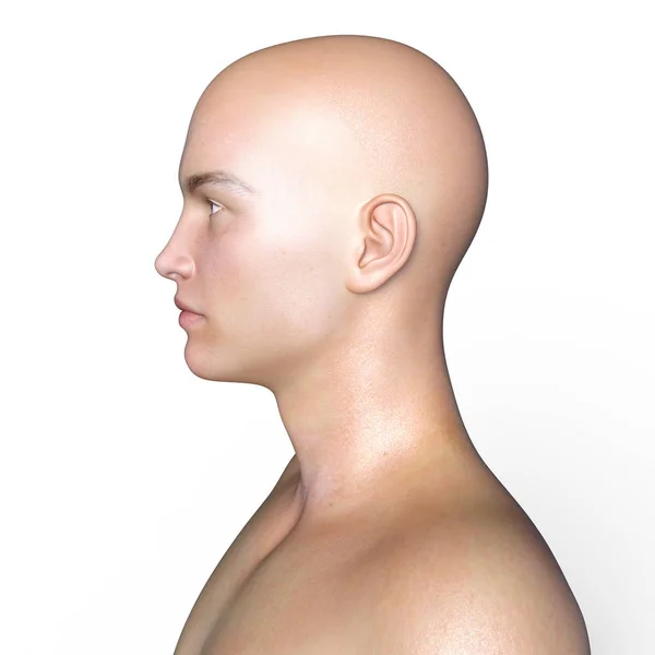 3D CG rendering of the man head — Stock Photo, Image