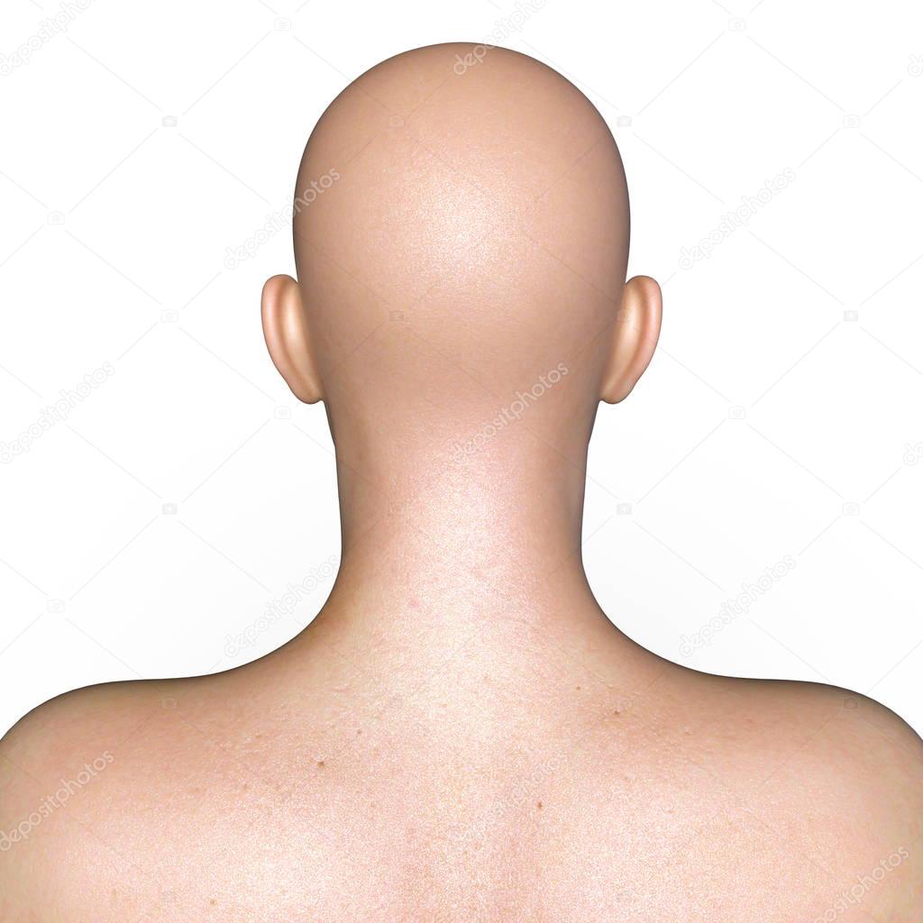 3D CG rendering of the man head