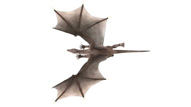 3d cg işleme bir ejderha