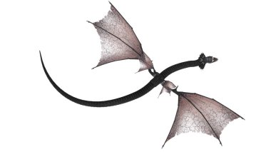 3d cg işleme bir ejderha