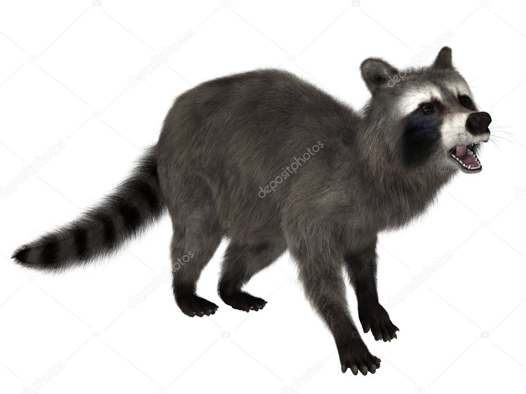 TsuneoMP