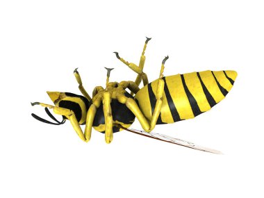 Bir Hornet 3d cg işleme