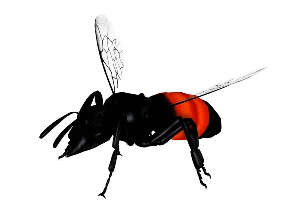 3D cg-rendering av en hornet — Stockfoto
