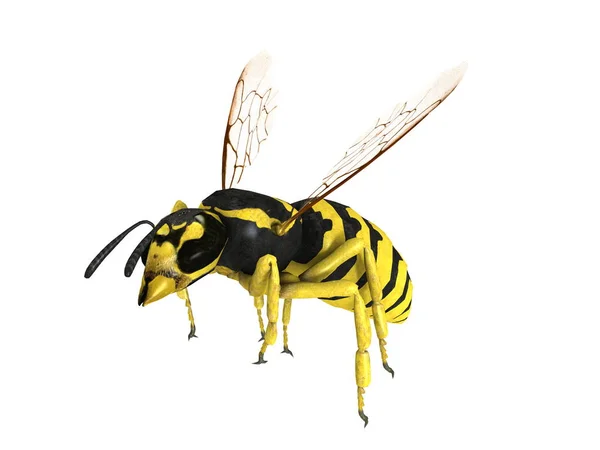 3D CG renderização de uma vespa — Fotografia de Stock