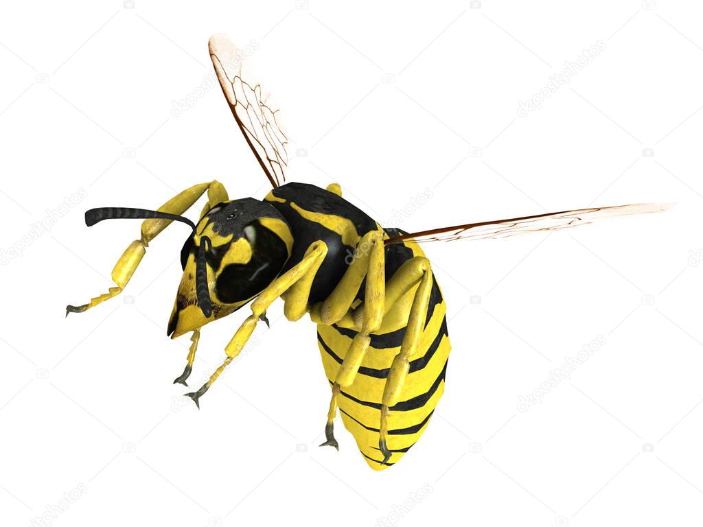 3D CG rendering of a hornet