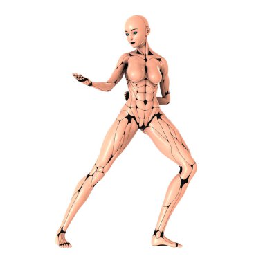 3d cg işleme bir kadın robot