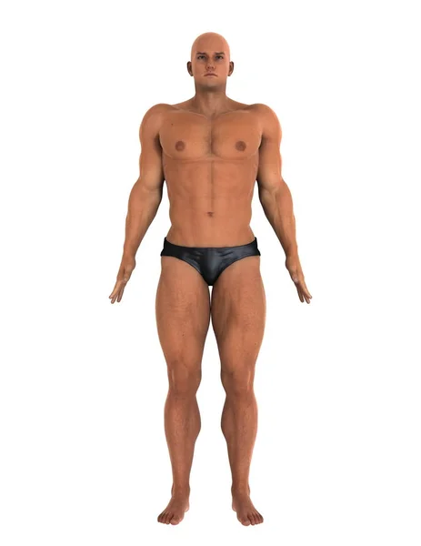 3D CG renderização de um construtor de corpo — Fotografia de Stock