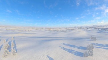 karlı alan 3d cg render