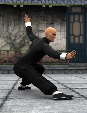 Kung fu ustası