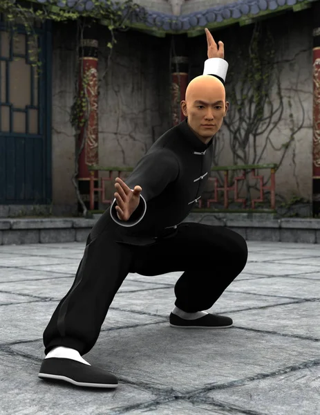 Kung fu master — Stockfoto