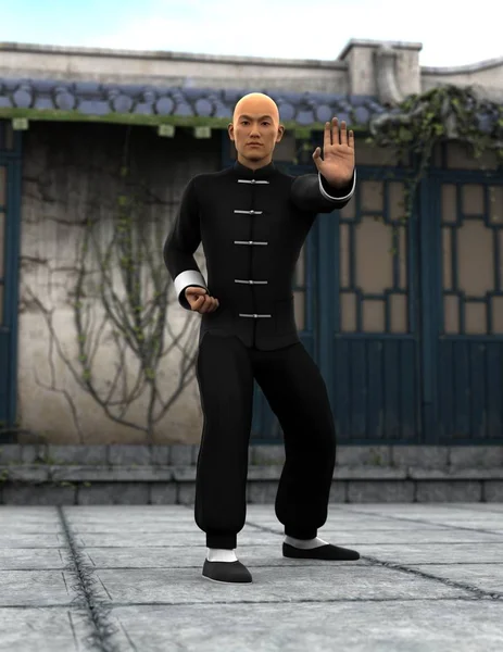 Kung fu master — Stockfoto