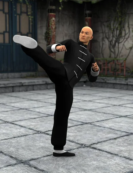 Maître de Kung-fu — Photo