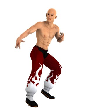 3d cg render bir Kung fu ustası